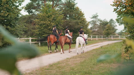 Horsewomen-riding-horses-at-the-equestrian-center-on-a-summer-day,-rear-view