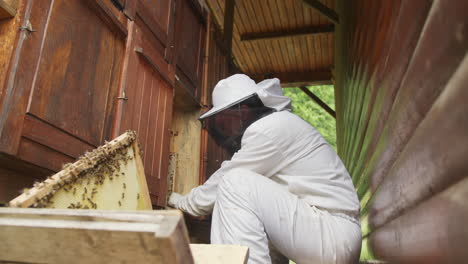Beekeeper-taking-out-the-honey-frame-from-a-wooden-beehive,-low-angle-shot
