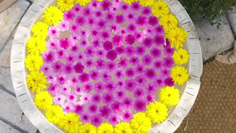 Slow-dolly-shot-of-vibrant-purple-and-yellow-flowers-floating-in-a-garden-fountain