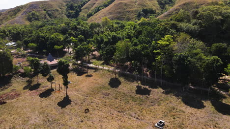 Vistas-De-La-Naturaleza-Con-árboles-En-Las-Laderas-De-La-Isla-De-Sumba,-Indonesia-Durante-El-Día-Soleado