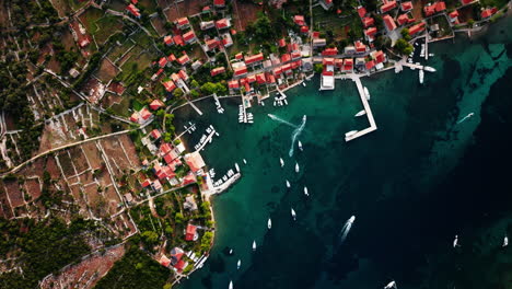Bird's-eye-view-top-down-static-establishing-shot-of-Ilovik-island-Croatia-coastline-and-village-homes