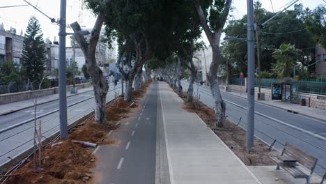 Tree-lined-bike-path-in-the-middle-of-the-street-in-Tel-Aviv