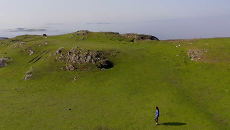 Man-walking-on-a-grassy-island