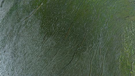 Green-river-delta-floodplain-with-striking-abstract-canal-patterns,-aerial-tilt
