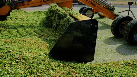 Corn-silage-is-made-with-a-tractor-slow-motion