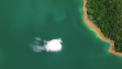 Aerial-top-down-shot-of-sandy-beach-with-green-lake-and-sun-reflection-on-green-growing-island-at-Feisui-Reservoir,-Taiwan