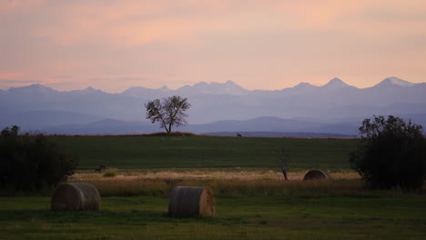 Round-hay-bales-in-farm-field-with-deer-grazing,-mountain-silhouette-at-sunset