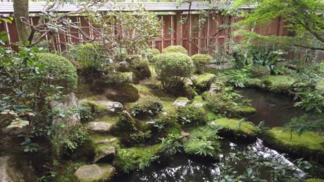 Paisaje-De-Jardín-Japonés-En-Kyoto-Con-Estanque-Y-Flora-Nativa,-Atmósfera-Meditativa-Zen-En-Verano,-Exuberante-Vegetación