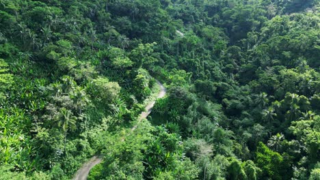 Estrecha-Carretera-De-Montaña-A-Través-De-Una-Densa-Vegetación-Forestal-En-Baras,-Catanduanes