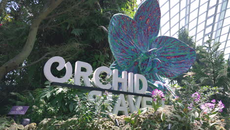 Exhibiciones-De-Orquídeas-En-Los-Jardines-Junto-A-La-Bahía-En-Singapur