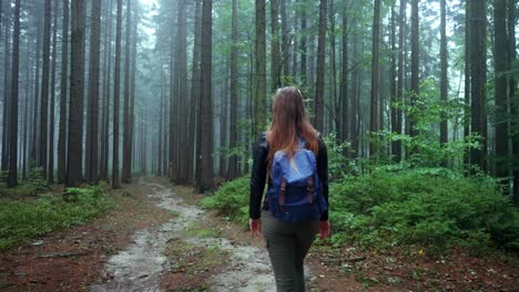 Rear-Shot-Of-Girl-With-Backpack-Hiking-On-Rural-Wooden-Path-In-Wild-Forest
