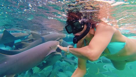 Eine-Schnorchlerin-Schwimmt-Zwischen-Haien-Und-Einer-Vielzahl-Tropischer-Fische-Im-Klaren-Wasser-Vor-Dem-Hol-Chan-Marine-Reserve,-San-Pedro,-Belize