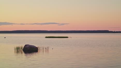 Tranquil-waters-in-a-nature-reserve-bathed-in-the-soft,-pink-afterglow-of-a-summer-evening
