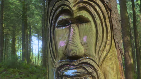 Face-carved-into-large-tree-with-bokeh-background-and-zoom-out-in-English-pine-forest-on-summer-day