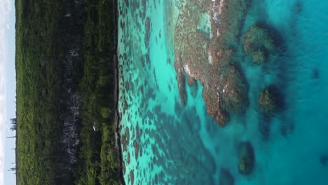 Aerial-view-of-pristine-water-and-coral-reefs,-on-the-coast-of-Maré-island,-New-Caledonia---vertical-format