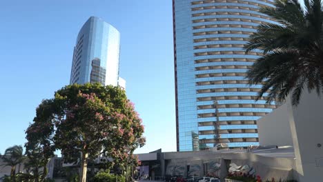 4K-Still-Video:-Marriott-Hotel-Twin-Towers-Behind-Trees-Blowing-in-September-Wind,-Pure-Blue-Sky---2023