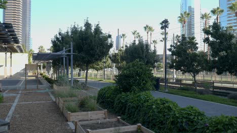 4K-Peaceful-Video:-Overlooking-Planters-and-Trees-by-the-Children’s-Museum,-Downtown-San-Diego---September-26,-2023