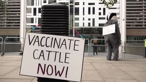 A-person-dressed-in-a-badger-suit-stands-outside-the-UK-Home-Office-behind-a-placard-on-a-post-that-reads,-“Vaccinated-cattle-now