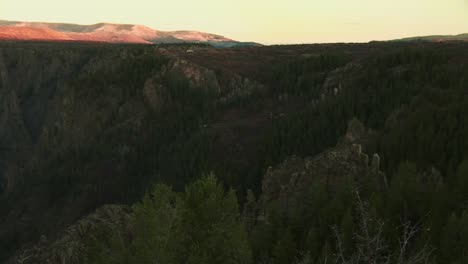 Bosque-De-Pinos-En-Las-Montañas-Rocosas-Del-Cañón-Negro-Del-Parque-Nacional-Gunnison-En-Colorado,-Estados-Unidos