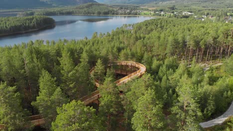 Aerial-View-Of-Hamaren-Trail-Within-The-Pine-Forest-Overlooking-Lake-Fyresvatn-In-Fyresdal,-Norway