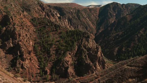 Árboles-En-Las-Montañas-Del-Cañón-Negro-Del-Parque-Nacional-Gunnison-En-El-Oeste-De-Colorado,-EE.UU.