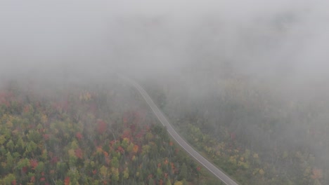 Foggy-Misty-Autumn-Forest-Road,-Aerial