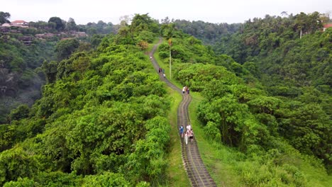Aerial-view-of-Campuhan-Ridge-with-tourists-and-local-people-walking-and-jogging-the-hilltop-footpath-amid-overgrown-lush-tropical-forest-scenery