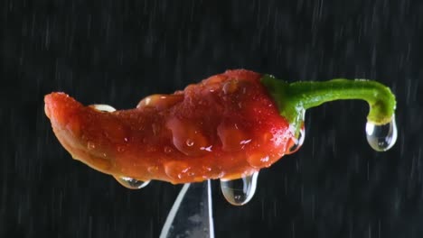 red-ripe-chili-pepper-on-the-end-of-a-knife,-cool,-crisp-water-drips-on-an-otherwise-spicy-hot-pepper