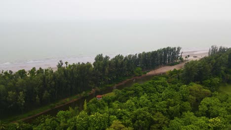 Jhau-Baumwald-Am-Strand-Von-Kuakata-Als-Natürlicher-Damm-Für-Sturm-In-Bangladesch