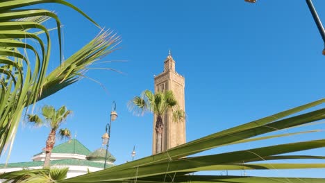 Ashohada-Mosque-tower-seen-through-palm-leaves-in-city-of-Rabat,-Morocco