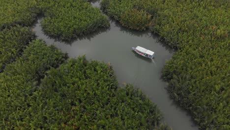 Boot-Mitten-Im-Kokosnusswald-Im-Dorf-Cam-Thanh-In-Vietnam,-Luftaufnahme