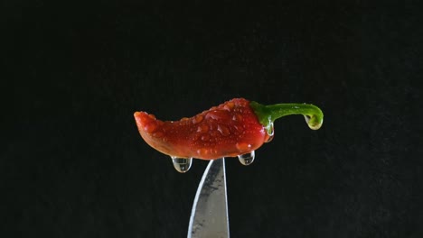 Red-Chili-Pepper-Impaled-on-the-Tip-of-a-Knife-and-Spray-with-a-Fine-Water-Spray