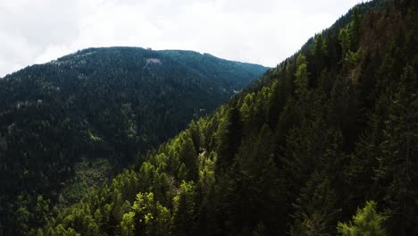 Wide-drone-shot-of-trees-filling-Italy's-mountains