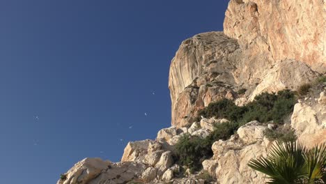 Calpe-Spain-Pina-De-Ifac-birds-circling-the-steep-rock-face-bathed-in-golden-winter-sunshine-and-blue-sky