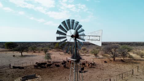 Rotierende-Aufnahme-Einer-Windpumpe,-Die-Bei-Starkem-Wind-Wasser-In-Afrika-Pumpt,-Mit-Kühen-Im-Hintergrund
