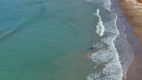 Drone-shot-of-surfer-walking-out-to-sea-and-jumping-on-surfboard