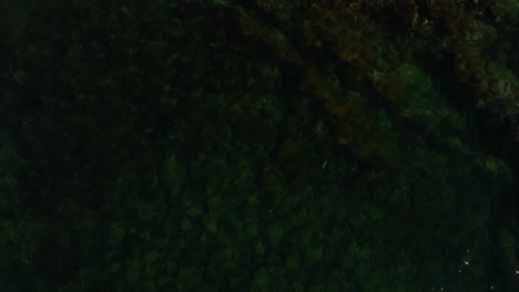 Aerial-View-Over-Dark-Green-Atlantic-Shallow-Sea-Along-the-Coastline-of-Fogo-Island-with-Rocks-and-Pebbles