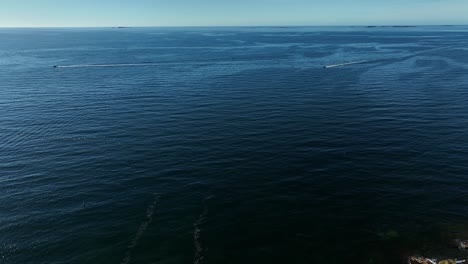 Wildlife-in-Action-with-Birds-Flying-Over-the-Atlantic-Ocean-off-the-Coast-of-Joe-Batt's-Arm-on-Fogo-Island,-Canada-with-an-Aerial-Drone-Follow-Panning-Shore-Tilting-Down-with-the-Horizon-in-View
