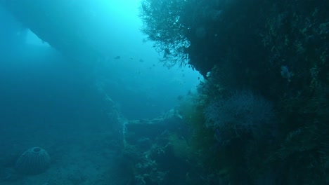 Unterwassergestein-Fluoreszierendes-Blaues-Licht-Von-Der-Meeresoberfläche