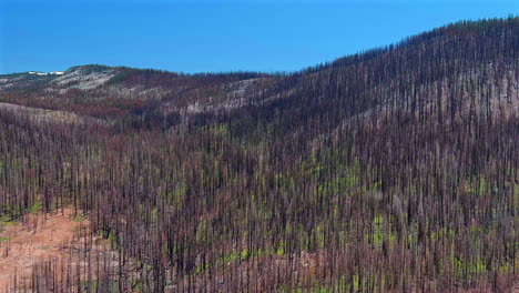 Aerial-View-of-Recovering-Temperate-Mountain-After-Wildfire-Damage