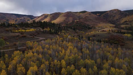 Rising-drone-shot-over-Aspen-hillside-in-autumn