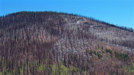 Mountain-Landscape-Slowly-Recovering-After-Devastating-Wildfires,-Aerial