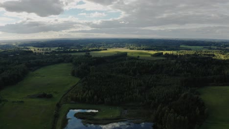 Wald-Aus-Der-Vogelperspektive.-Grüne-Landschaft