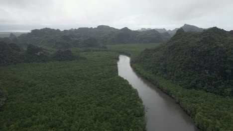 Schwenk-über-Neblige-Berge-Und-Dichten-Grünen-Flussdschungel-In-Malaysia