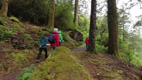Group-hiking-leader-reading-map-on-trail-trough-forest-West-Cork-Ireland-in-Autumn