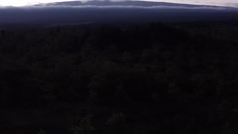 Low-tilting-up-aerial-shot-over-treetops-to-reveal-Mauna-Loa-silhouetted-against-the-sky-at-sunset-in-Hawai'i