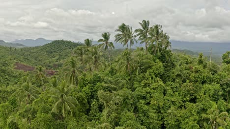 High-angle-shot-over-rainforest-canopy-along-hilly-terrain-in-Bonifaciao,-Surigao-Del-Norte,-Philippines-on-a-cloudy-day
