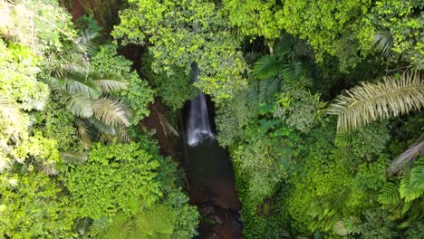 Leke-Leke-Waterfall-in-Bali-indonesia-hidden-in-tropical-jungle-scenery-and-lush-green-forest-vegetation