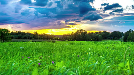 Scenic-time-lapse-of-grass-field-with-lush-forest-and-moving-clouds-during-the-sunset