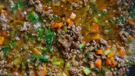 Simmering-Scrumptious-Ground-Beef-With-Vegetables---Close-Up